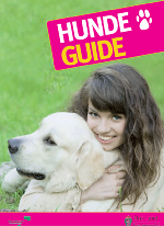 Hundeguide