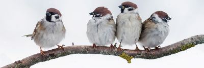 Gemeinsam durch den Winter!