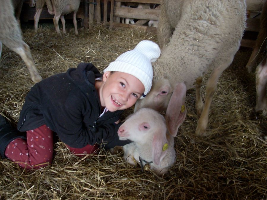 Schönstes Tierfoto