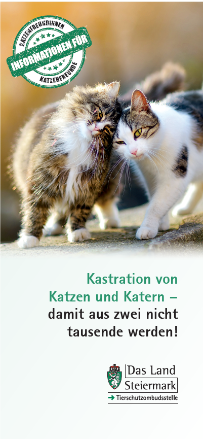 Folder TSO zum Thema Katzenkastration