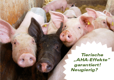 Tierschutz (er)leben